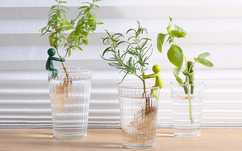 Leafriend - Plant Propagation Buddy