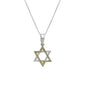 Two-tone Star of David Necklace