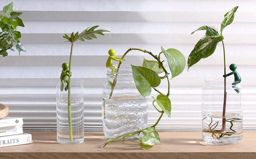 Leafriend - Plant Propagation Buddy