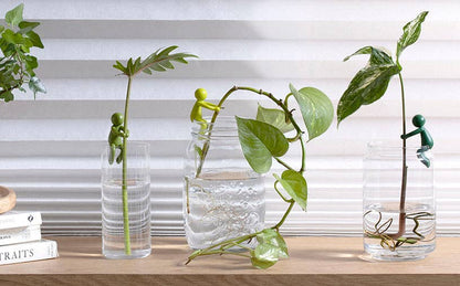 Leafriend - Plant Propagation Buddy
