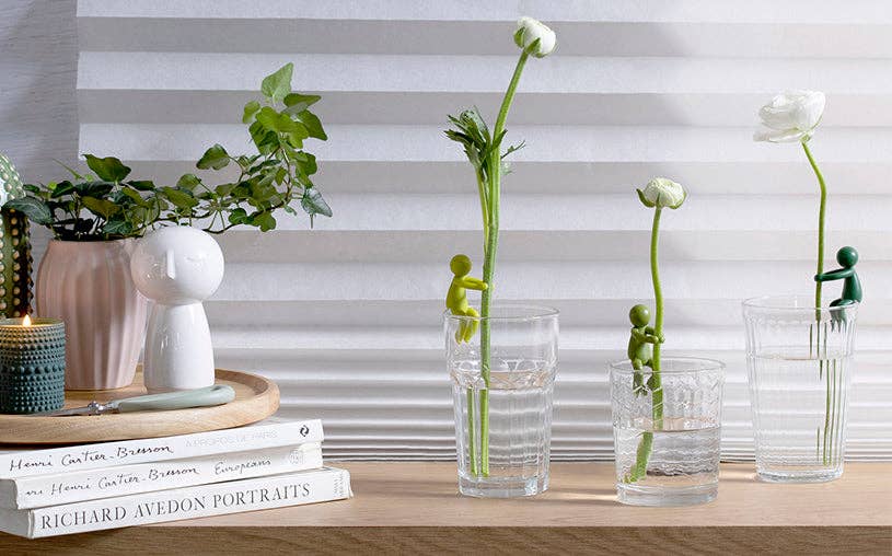 Leafriend - Plant Propagation Buddy