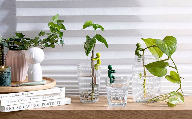 Leafriend - Plant Propagation Buddy