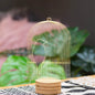 BIRD CAGE Led Lamp