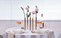 Magnetic Vase - Set of 5 Vases: Gold