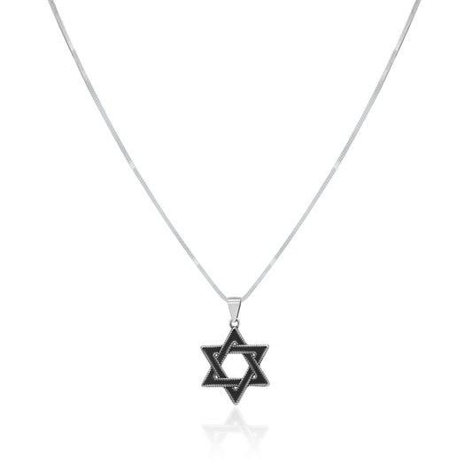 Men's Jewish Star Necklace in Silver: 20"