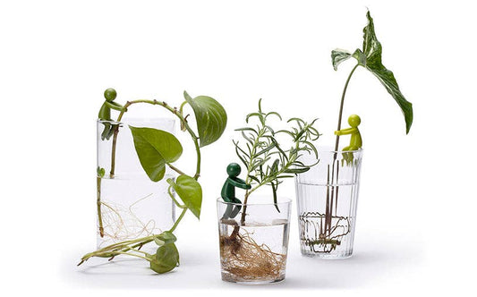 Leafriend - Plant Propagation Buddy