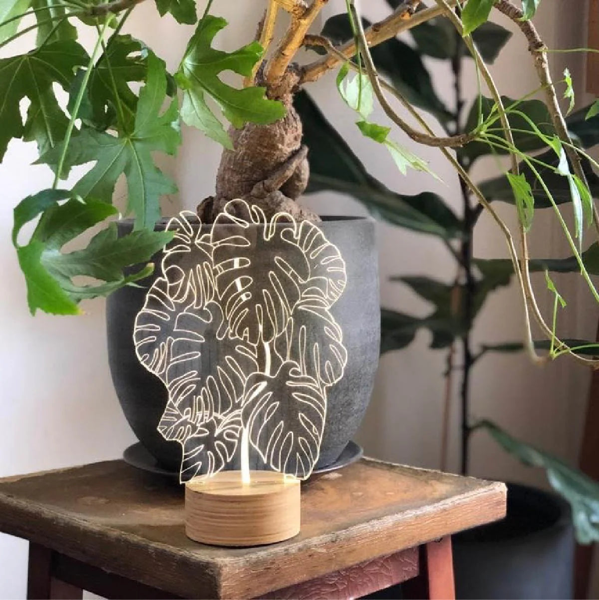 MONSTERA Led Lamp