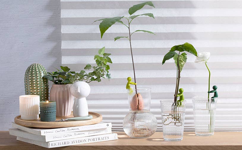 Leafriend - Plant Propagation Buddy