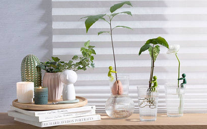 Leafriend - Plant Propagation Buddy