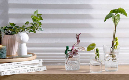 Leafriend - Plant Propagation Buddy