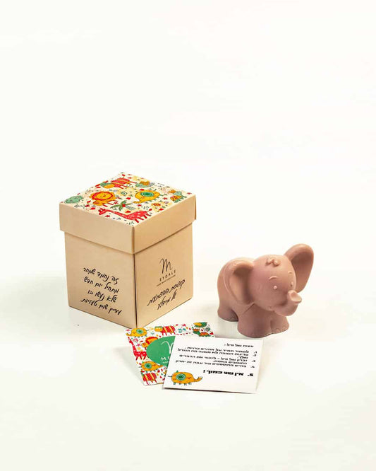 Surprise Box with Elephant Soap