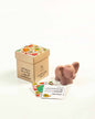 Surprise Box with Elephant Soap